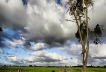 凯发体育：[德甲]布特勒逼抢再射门 奥尔班门前送乌龙.