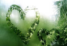 凯发体育：8名新人补强U22男足 四国赛检验磨合效果.